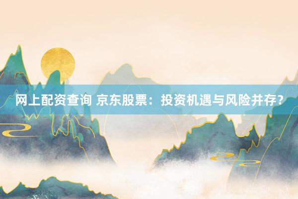 网上配资查询 京东股票：投资机遇与风险并存？