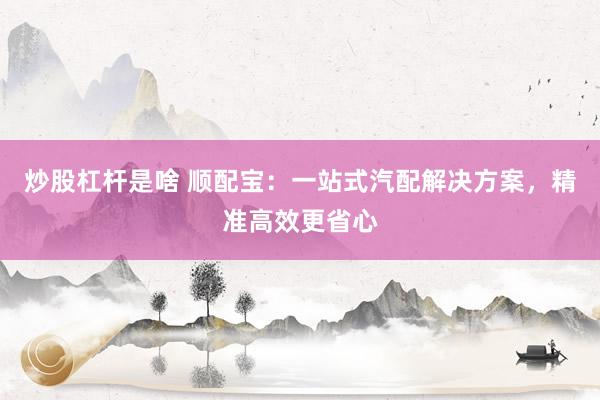 炒股杠杆是啥 顺配宝：一站式汽配解决方案，精准高效更省心