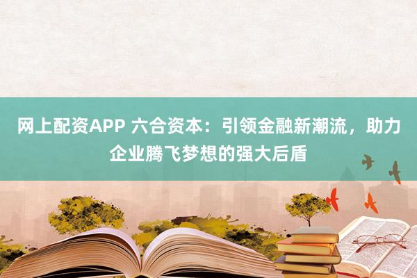 网上配资APP 六合资本：引领金融新潮流，助力企业腾飞梦想的强大后盾