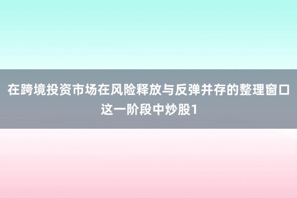 在跨境投资市场在风险释放与反弹并存的整理窗口这一阶段中炒股1