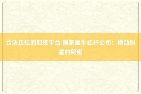 合法正规的配资平台 国家最牛杠杆公司：撬动财富的秘密