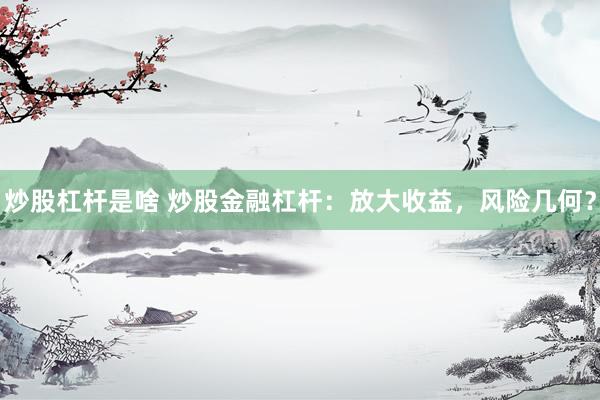 炒股杠杆是啥 炒股金融杠杆：放大收益，风险几何？